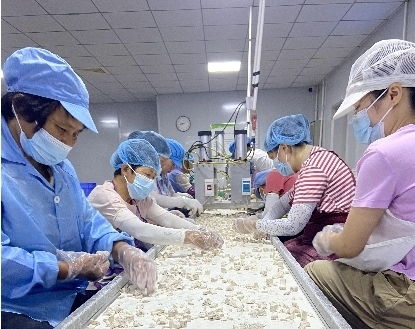 湖南江永探索农产品营销新模式,香芋跨界联名火 出圈