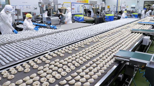 每天生产二十吨 带你看韩国脆皮泡菜水饺工厂的生产过程